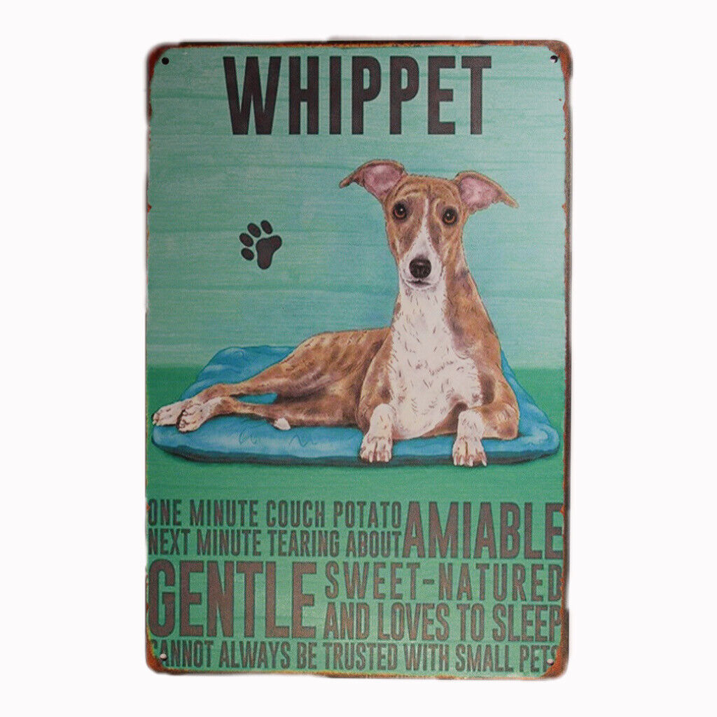 Tin Sign Whippet Amiable Gentle Gulf Red Sprint Drink Bar Whisky Rustic Look