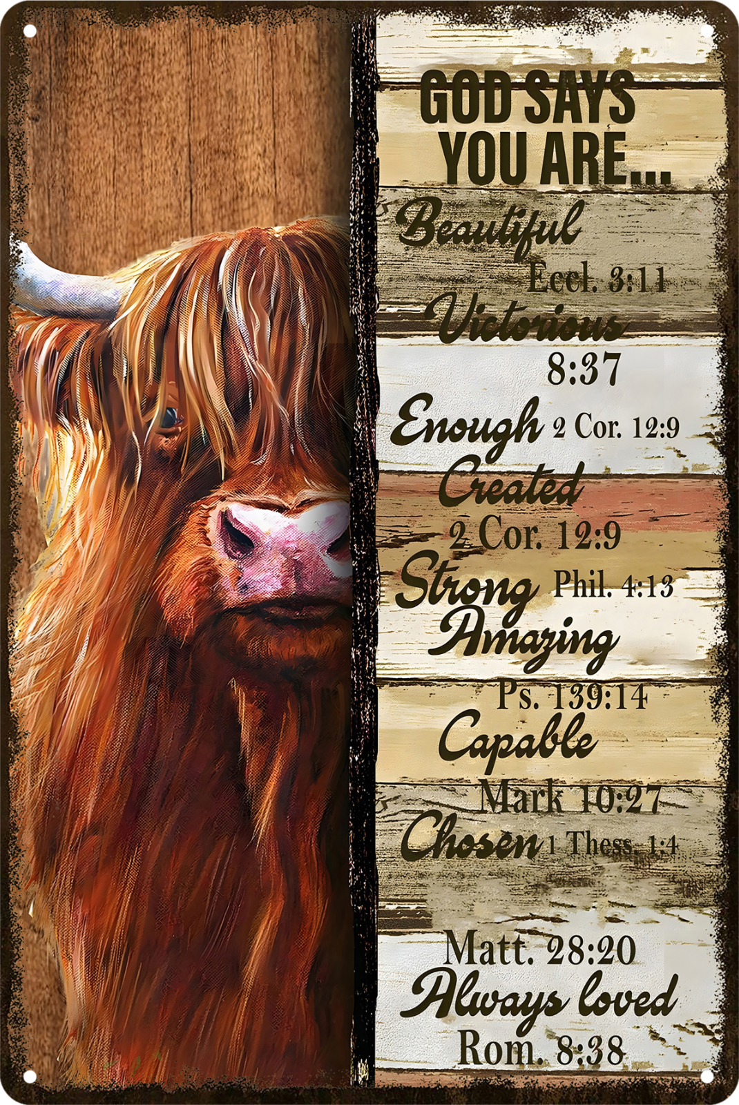Tin Sign Highland Cows God Says You Are Amazing Beautiful Loved 20x30cm