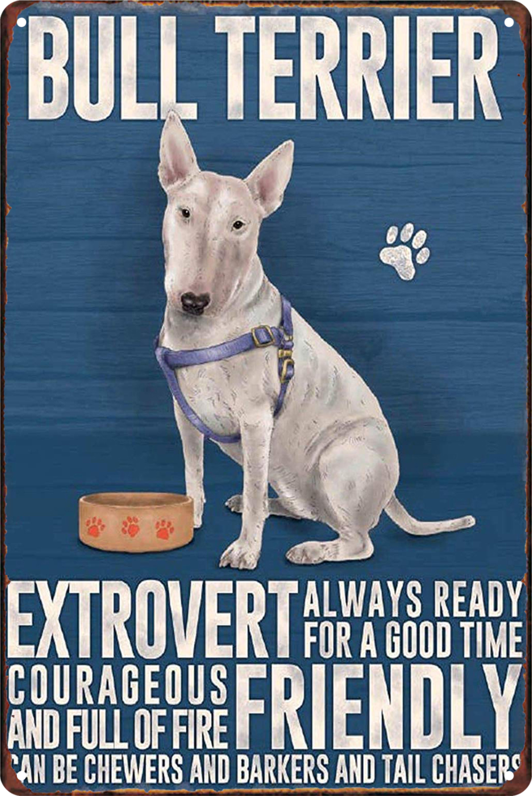 Tin Sign Bull Terrier Extrovert Friendly Rustic Look Vintage Retro 20x30cm