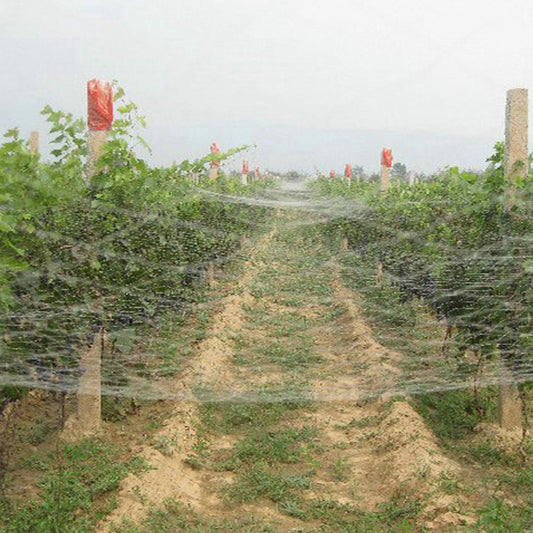 10mx 5m Anti Bird Netting White 25mm Mesh Pest Net Fruit Plant UV Nylon 93009001