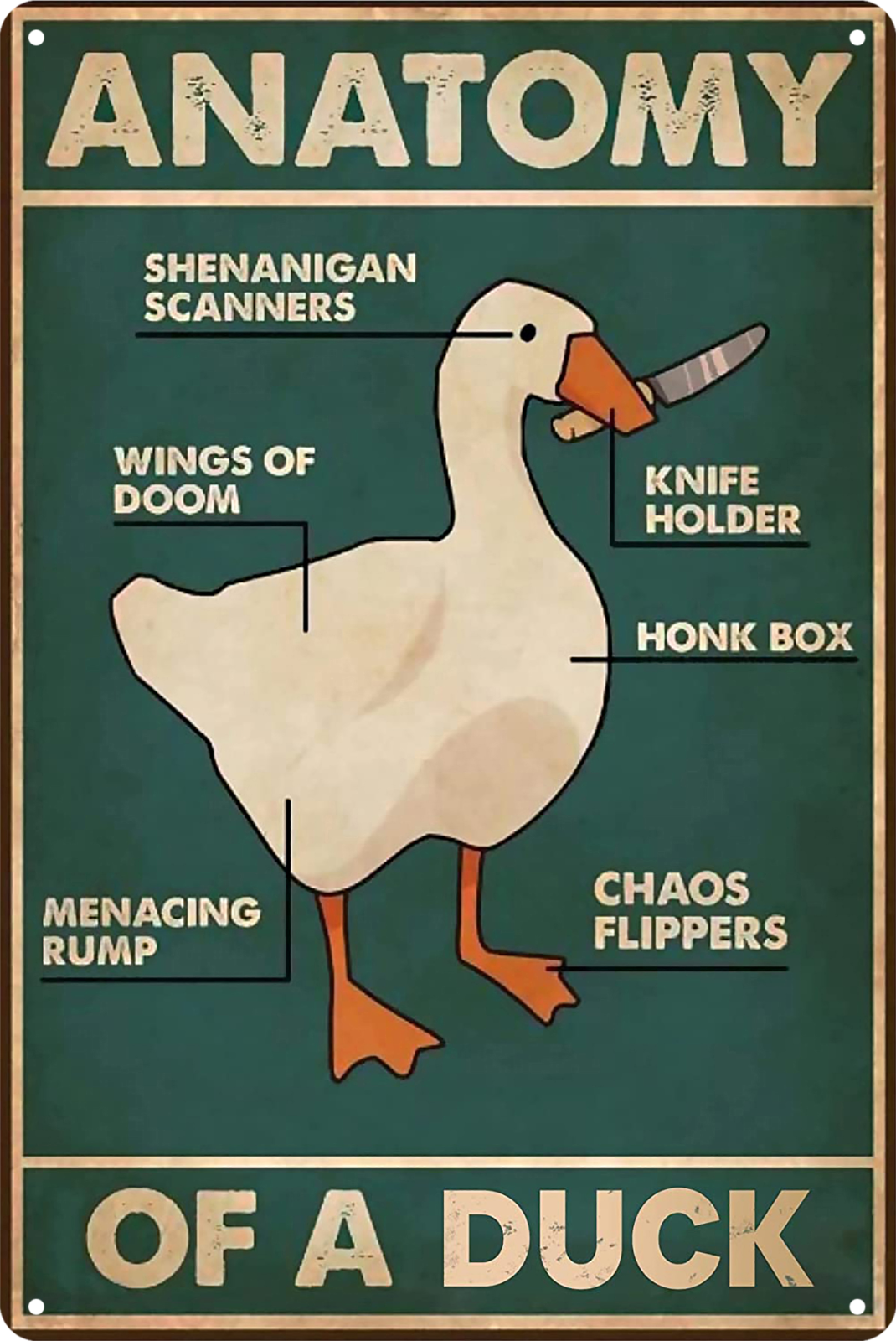 Anatomy Of A Duck Tin Sign Rustic Look  Retro 20x30cm