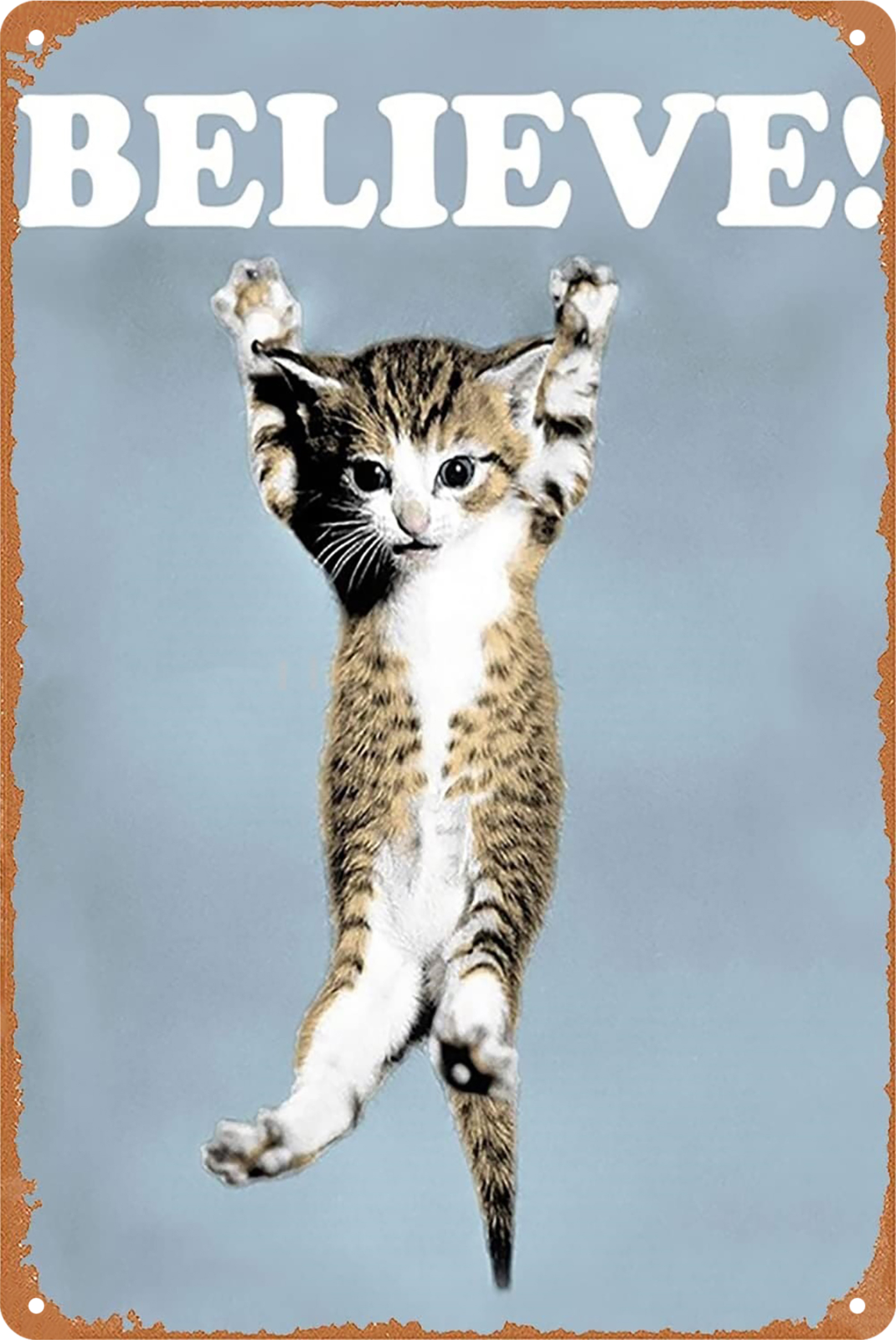 Cat Believe Hang In Tin Sign Rustic Look  Retro 20x30cm