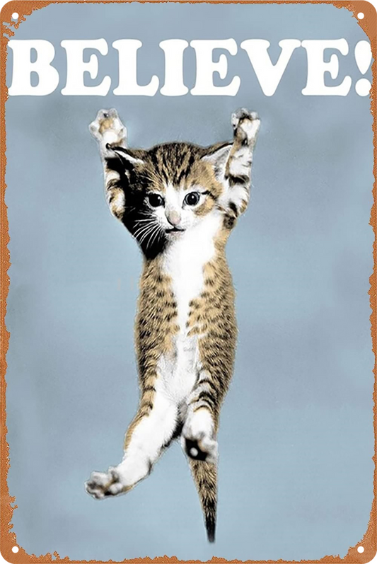 Cat Believe Hang In Tin Sign Rustic Look  Retro 20x30cm