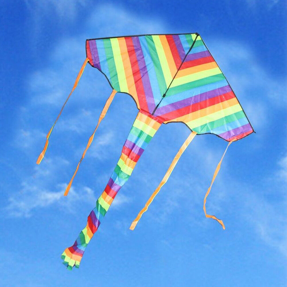 Kite Rainbow Color 120cm Outdoor Sport Funny Toy Stunt Gift Tail 100m Line Kid