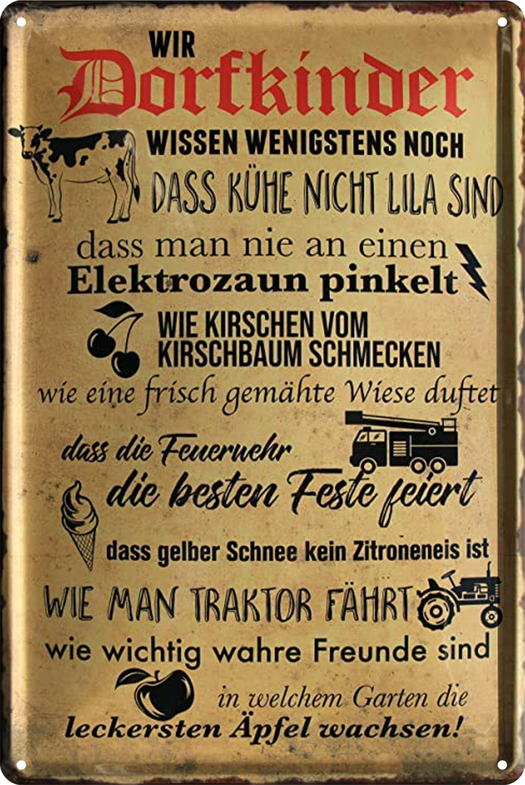 Wir Dorfkinder Wissen Funny Village Saying Tin Sign Rustic Retro 20x30cm
