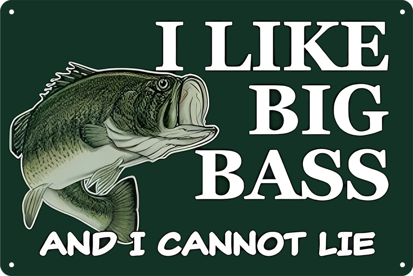 Fishing I Like Big Bass And I Cannot Lie Tin Sign Rustic Vintage 20x30cm