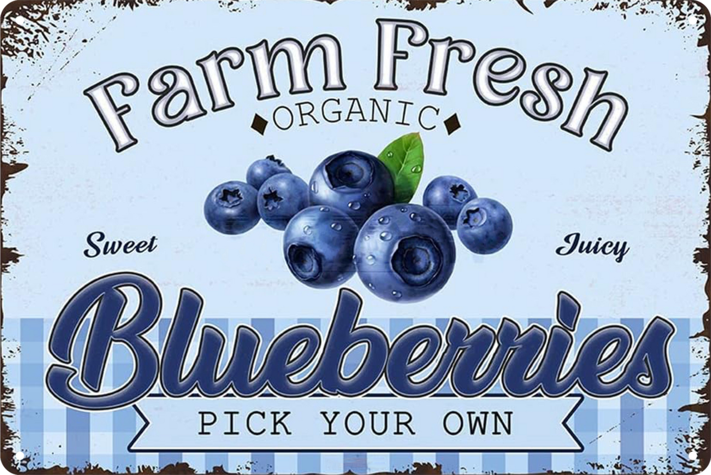 Farm Fresh Blueberries Organic Tin Sign Rustic Look  Retro 20x30cm