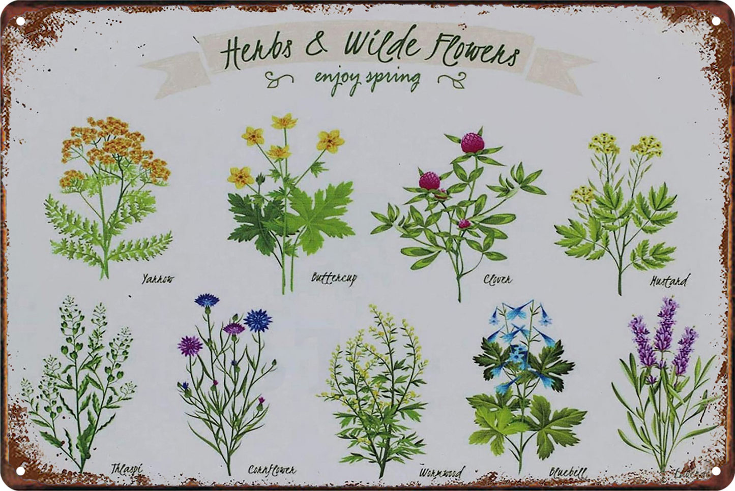 Herbs & Wilde Flower Garnden Enjoy Spring Tin Sign Vintage Retro 20x30cm