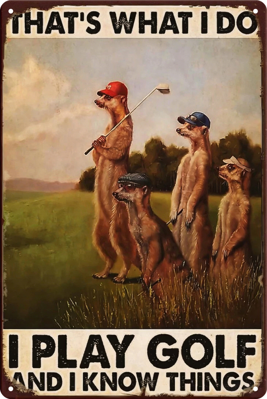 Men's Day Tin Sign That's What I Do I Play Golf Rustic Vintage Retro 20x30cm