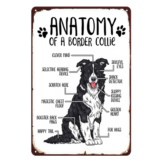 Anatomy Of A Border Collie Dog Rustic Metal Sign Vintage Tin Shed Garage Bar