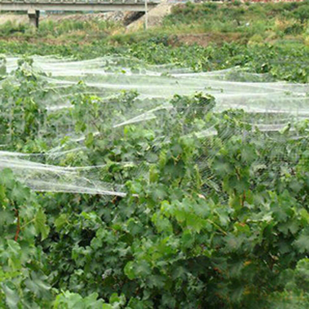 1mx 5m Anti Bird Netting Mesh 25mm Pest Net Fruit Plant Tree Pond White 93009001