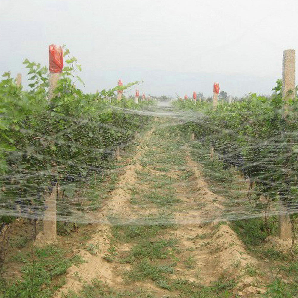 10mx 5m Anti Bird Netting White 25mm Mesh Pest Net Fruit Plant UV Nylon 93009001