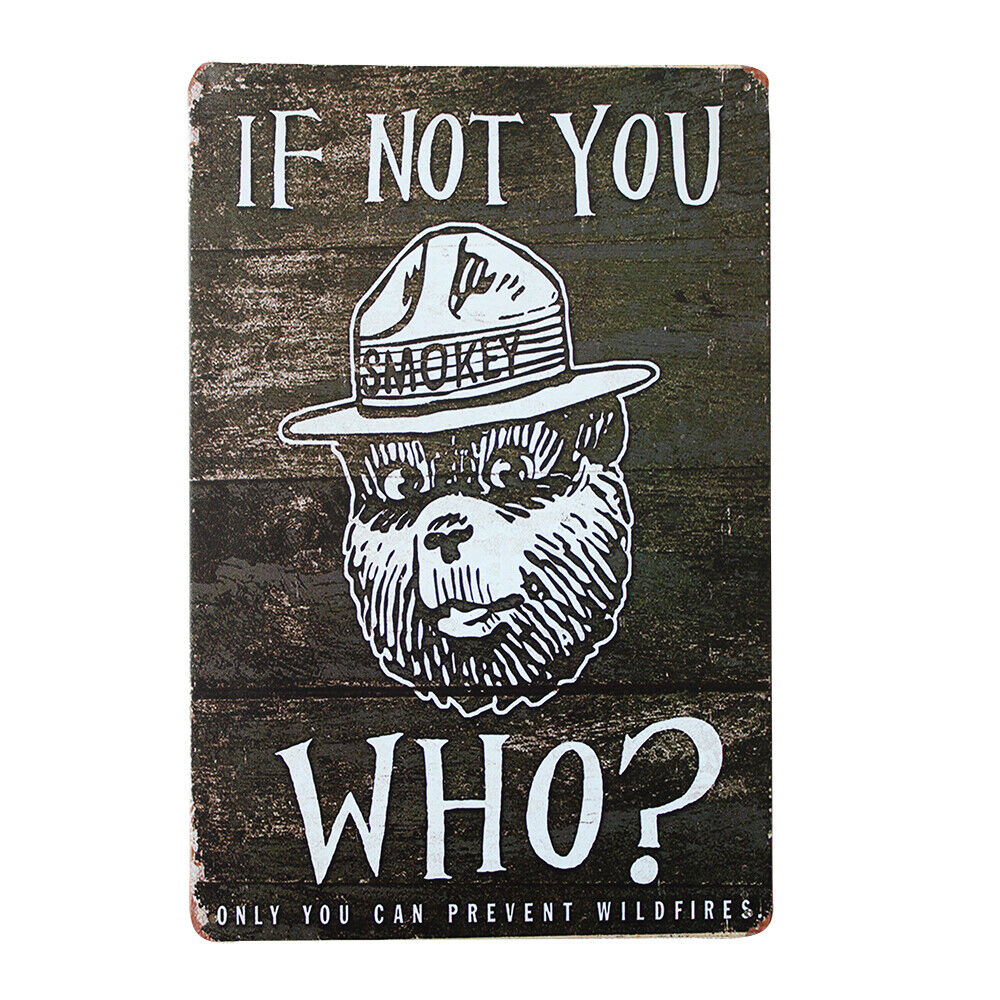 Tin Sign Only You Can Prevent Wildfires Smokey The Bear200x300mm Metal Retro Pla