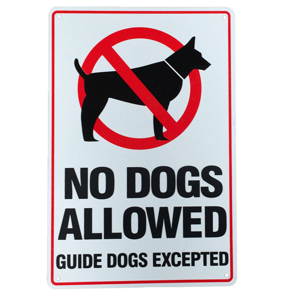Warning Sign No Dog Allowed Guide Except 200x300 Metal Notice Clear Zone Beach