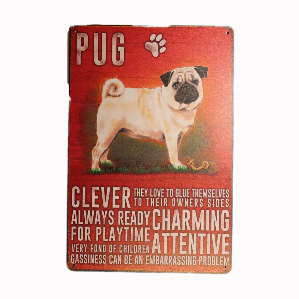Tin Sign Pug Clever Charming  Sprint Drink Bar Whisky Rustic Look